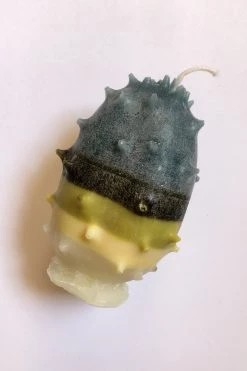 PIERA BOCHNER Kiwano Candle HOME