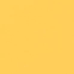 DR. SINGHAS DR. SINGHA'S Mustard Bath Salts BEAUTY