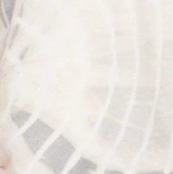 LACAUSA CLOTHING TOPS Kai Tee 7 LACAUSA CLOTHING TOPS Kai Tee