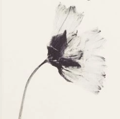 LACAUSA CLOTHING UNWIND Performance Towel 7 LACAUSA CLOTHING UNWIND Performance Towel